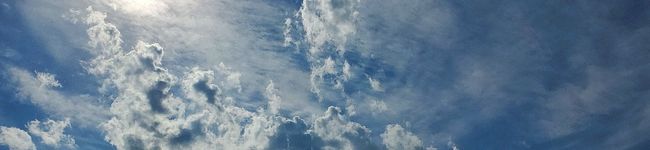 SiroHana's header image
