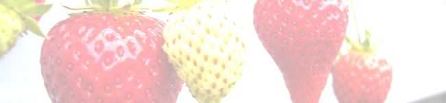 ☆あろまめこ★'s header image