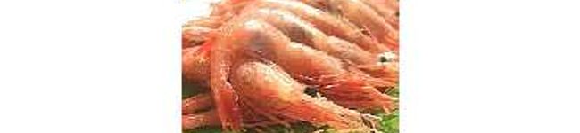 ＭＭＫ's header image