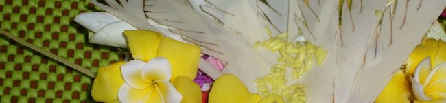 ママフィオ's header image
