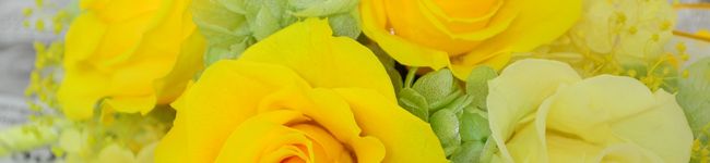 なおT's header image
