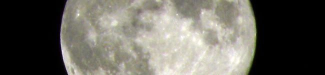 yossy0318's header image