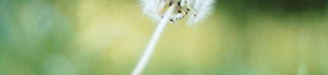 mimi0057's header image
