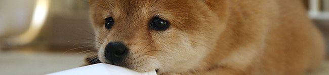 kemeta's header image