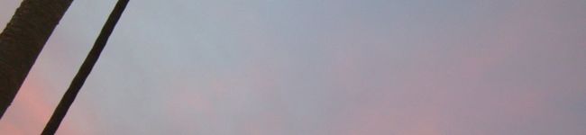 Cokkie's header image