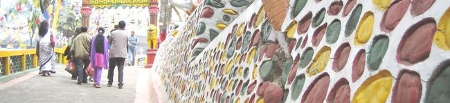 aci-kocci's header image