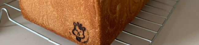 cocecco's header image