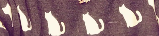 ko_koro's header image