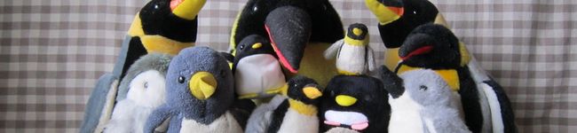 ねこにゃん619's header image