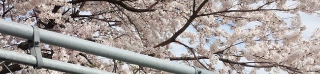 パパ＆ママ's header image