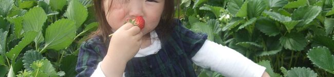 ｓｙａｙａ's header image