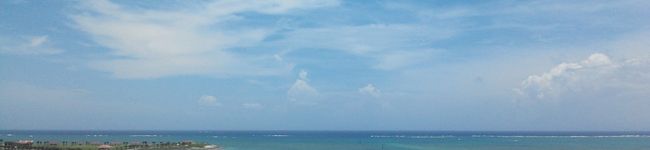 美々♪'s header image