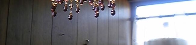 anna42's header image
