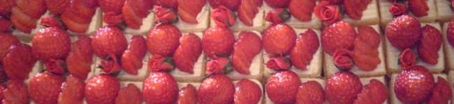 poooooooon's header image