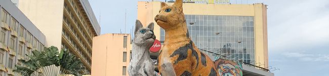 Lizlizard's header image