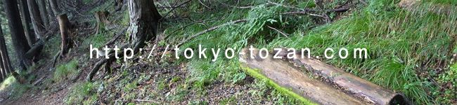 tokyotozan's header image