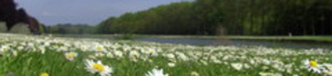 Tervuren's header image