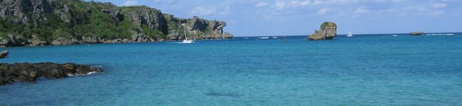 plum_k's header image