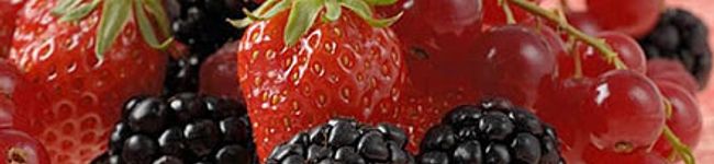 中山大輔's header image