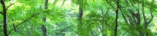 feelshy's header image