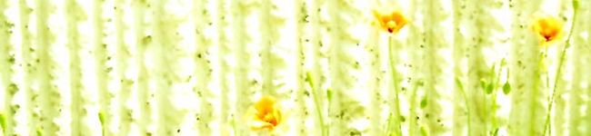 Rosamond's header image