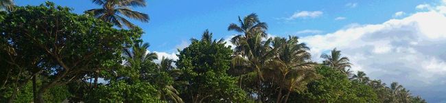 yuushyun's header image