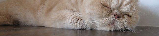 ภาพปกโพรไฟล์ของ ∞みちる∞