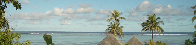 yukikymrose's header image