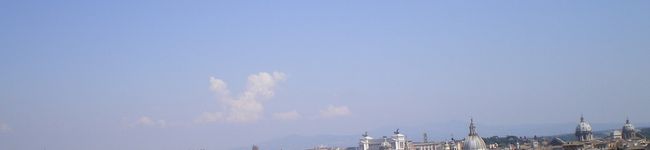 玲奈。's header image