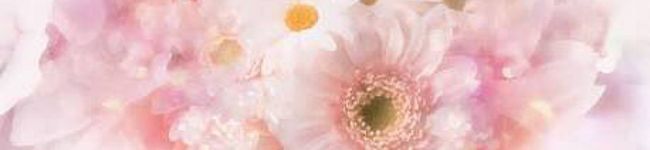 さくらりり's header image