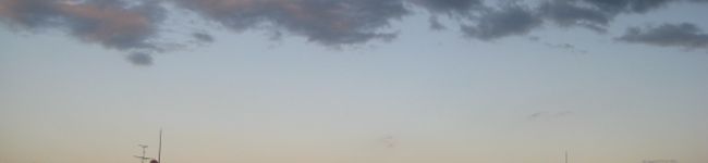 Ｌｉｃｏｐｉｎ's header image