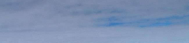 virgin's header image