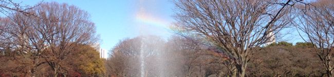 akane_xoxo's header image