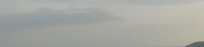 たまっちょ0826's header image