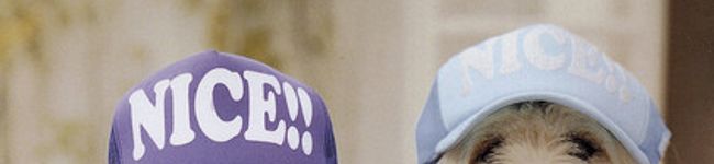 aiko魂's header image