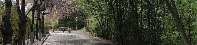 こめいじあるる's header image