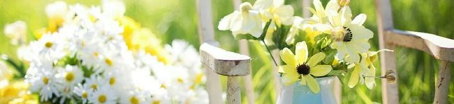 まるまるひつじ's header image