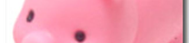 ecoco's header image