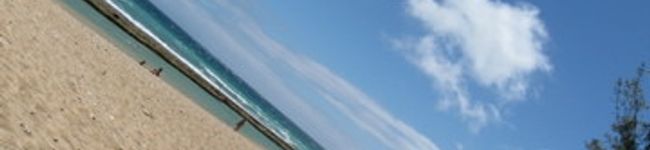 tubukoDX's header image