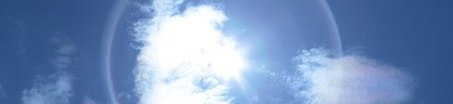 メグニティー's header image