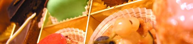 １日でバタンQ's header image