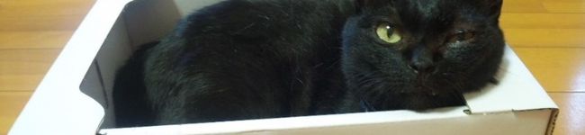 ぱんだ港's header image