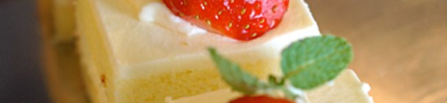 卵黄さん's header image