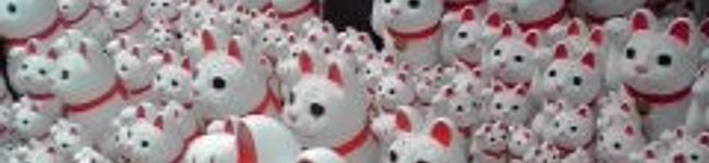 shiro猫's header image
