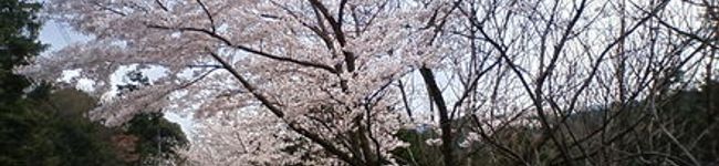 ユウ優's header image
