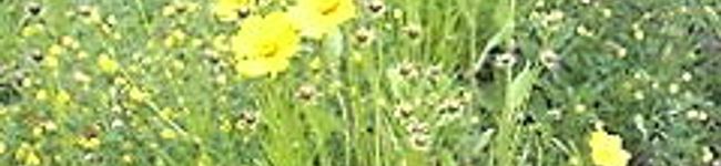 grendon's header image