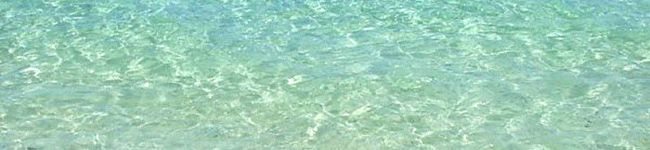 olivemilk's header image