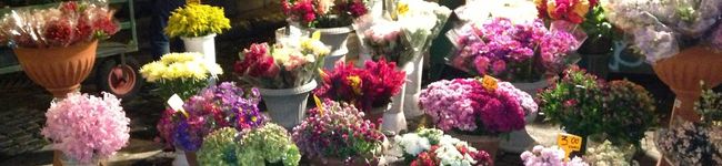 emmy8041's header image