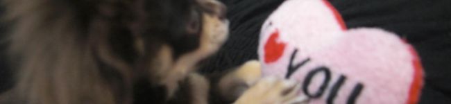 ラテ♡モカ's header image