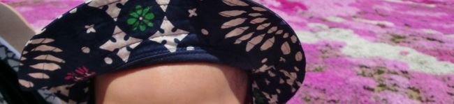 8hoshi8's header image